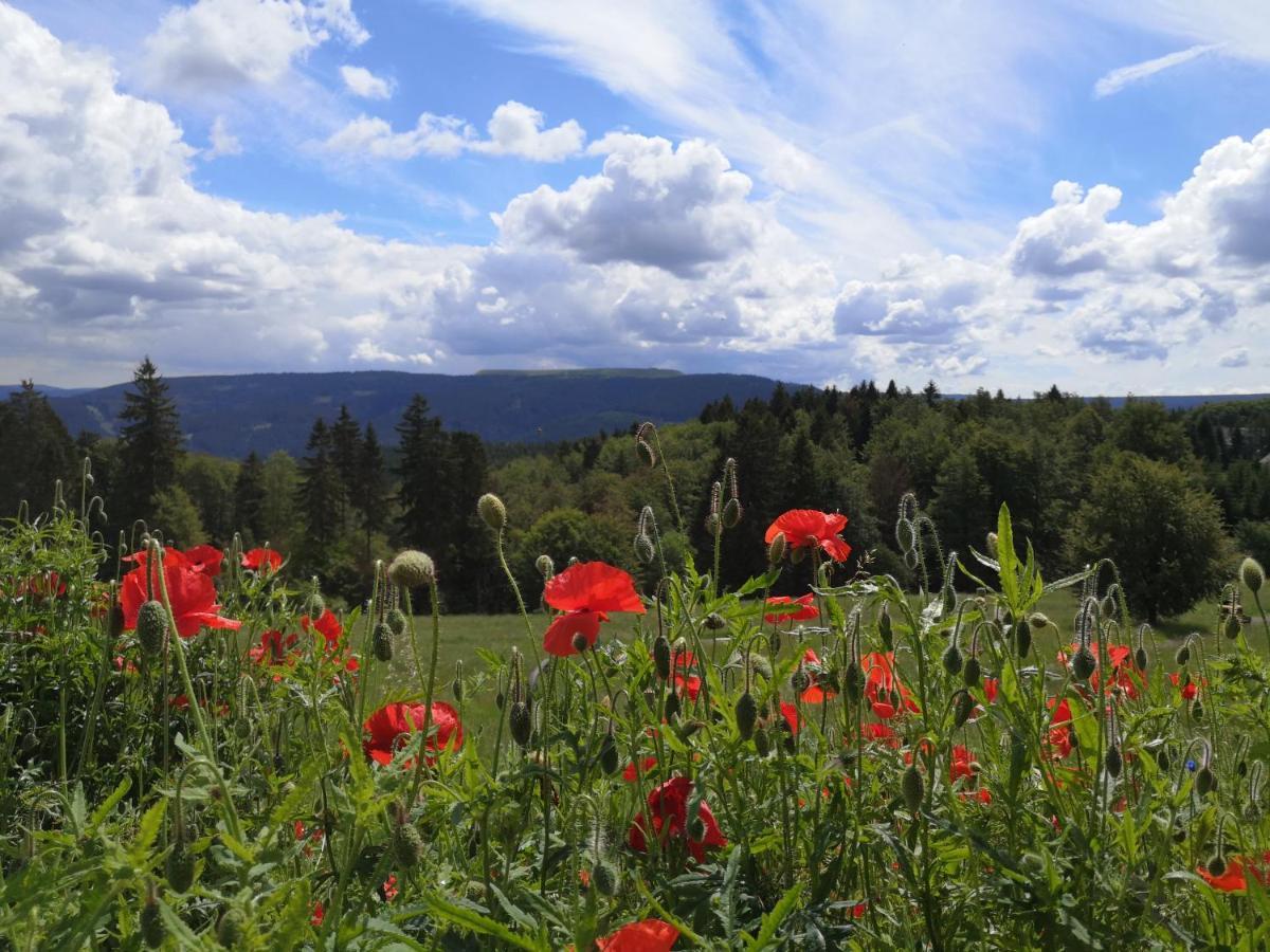Hotel Schoene Aussicht Masserberg Exteriör bild