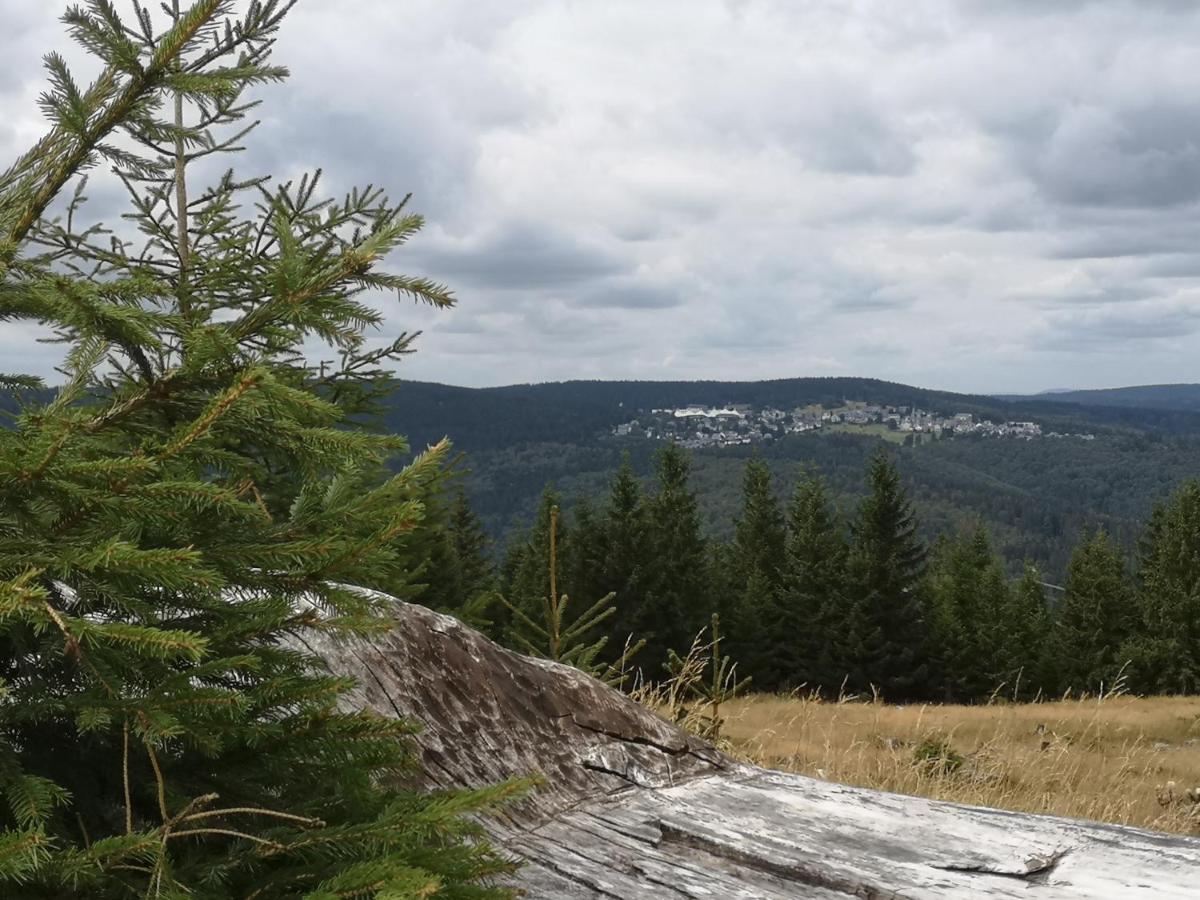 Hotel Schoene Aussicht Masserberg Exteriör bild