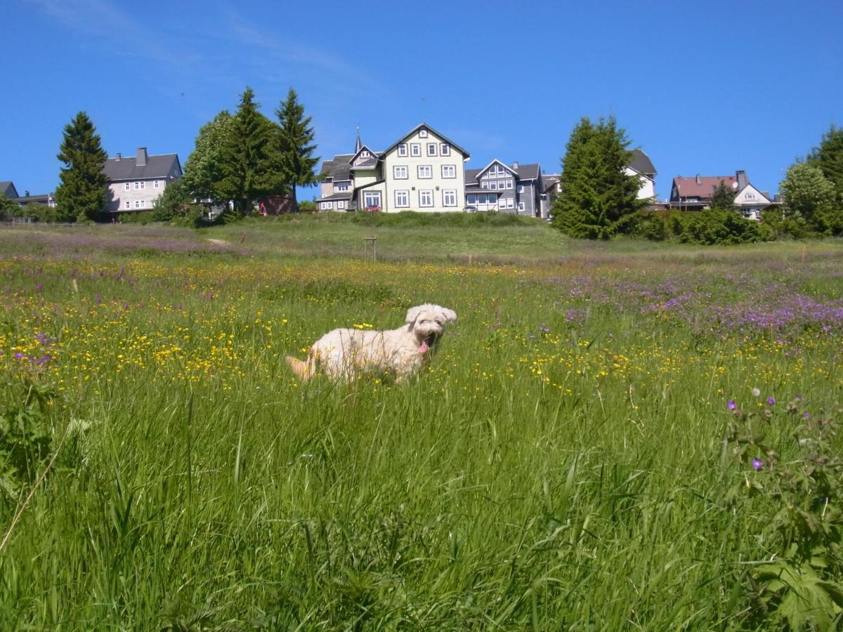 Hotel Schoene Aussicht Masserberg Exteriör bild