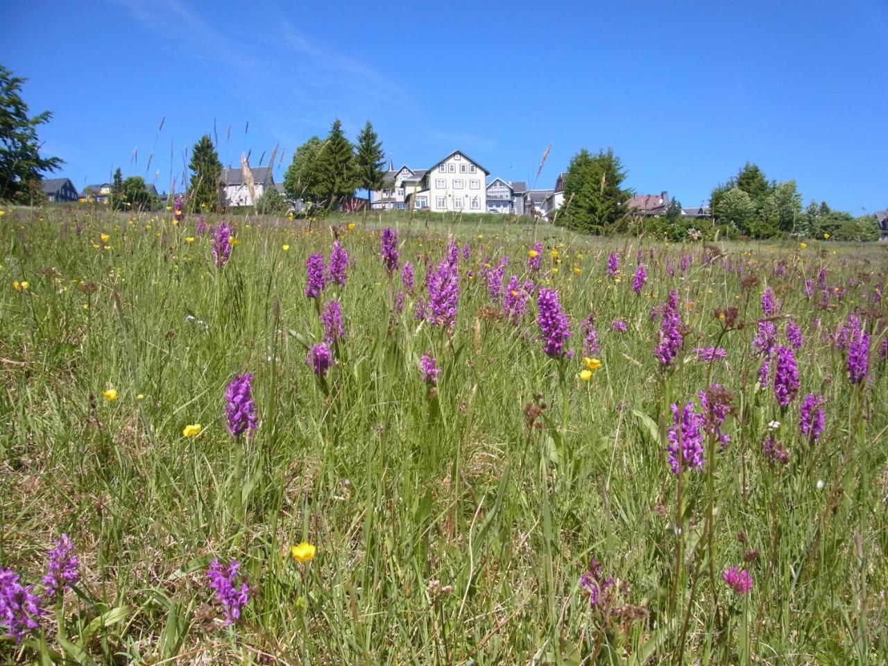 Hotel Schoene Aussicht Masserberg Exteriör bild
